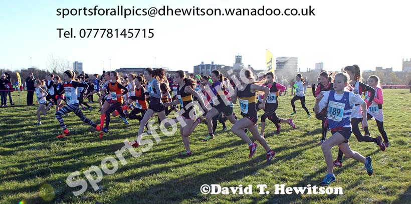 Girls under-13s North Eastern Cross Country Chanpionships. Photo: David T. Hewitson/Sports for All Pics